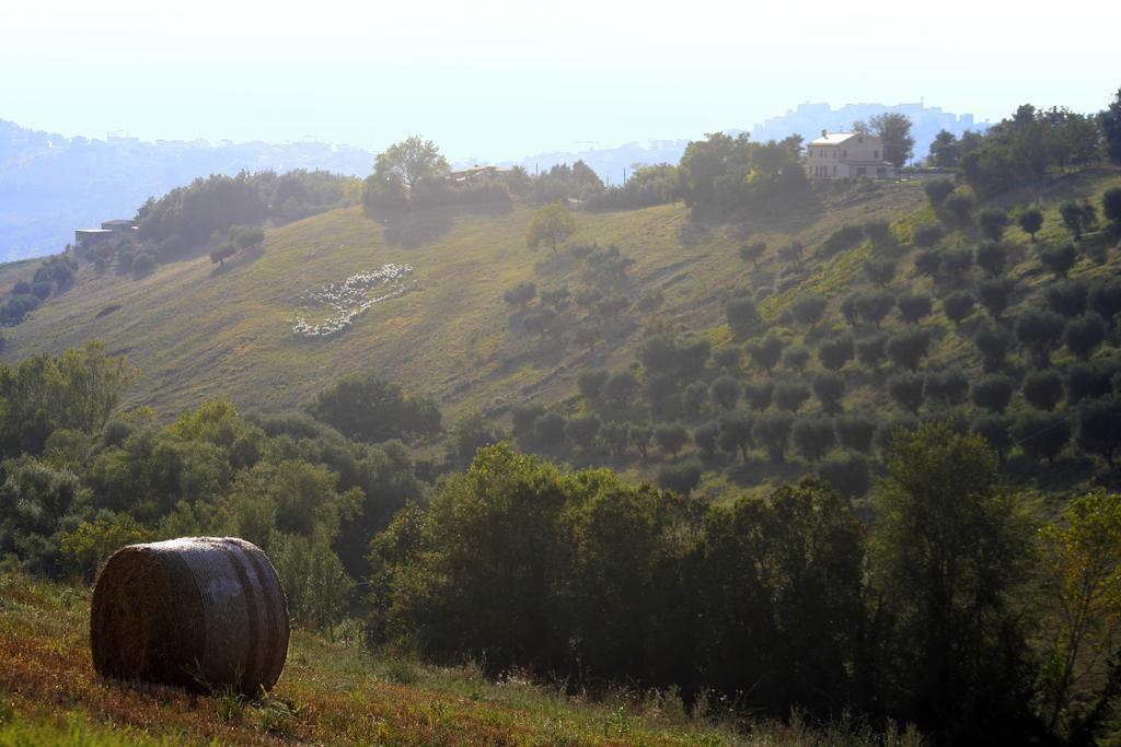 Отель Agriturismo Fara Montegiorgio Экстерьер фото